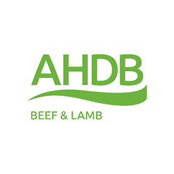 logo ahdb beef & lamb