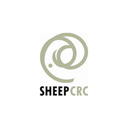 logo sheep crc