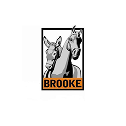 logo the brooke